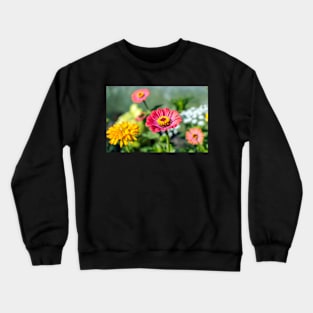 Red Zinnia in the garden Crewneck Sweatshirt